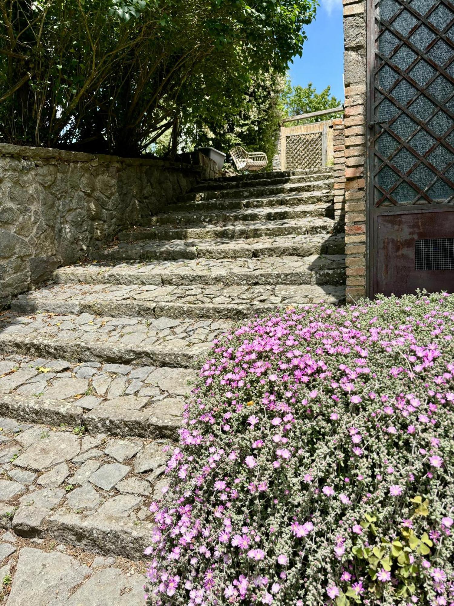 Collina Blu Bed & Breakfast Bolsena Bagian luar foto