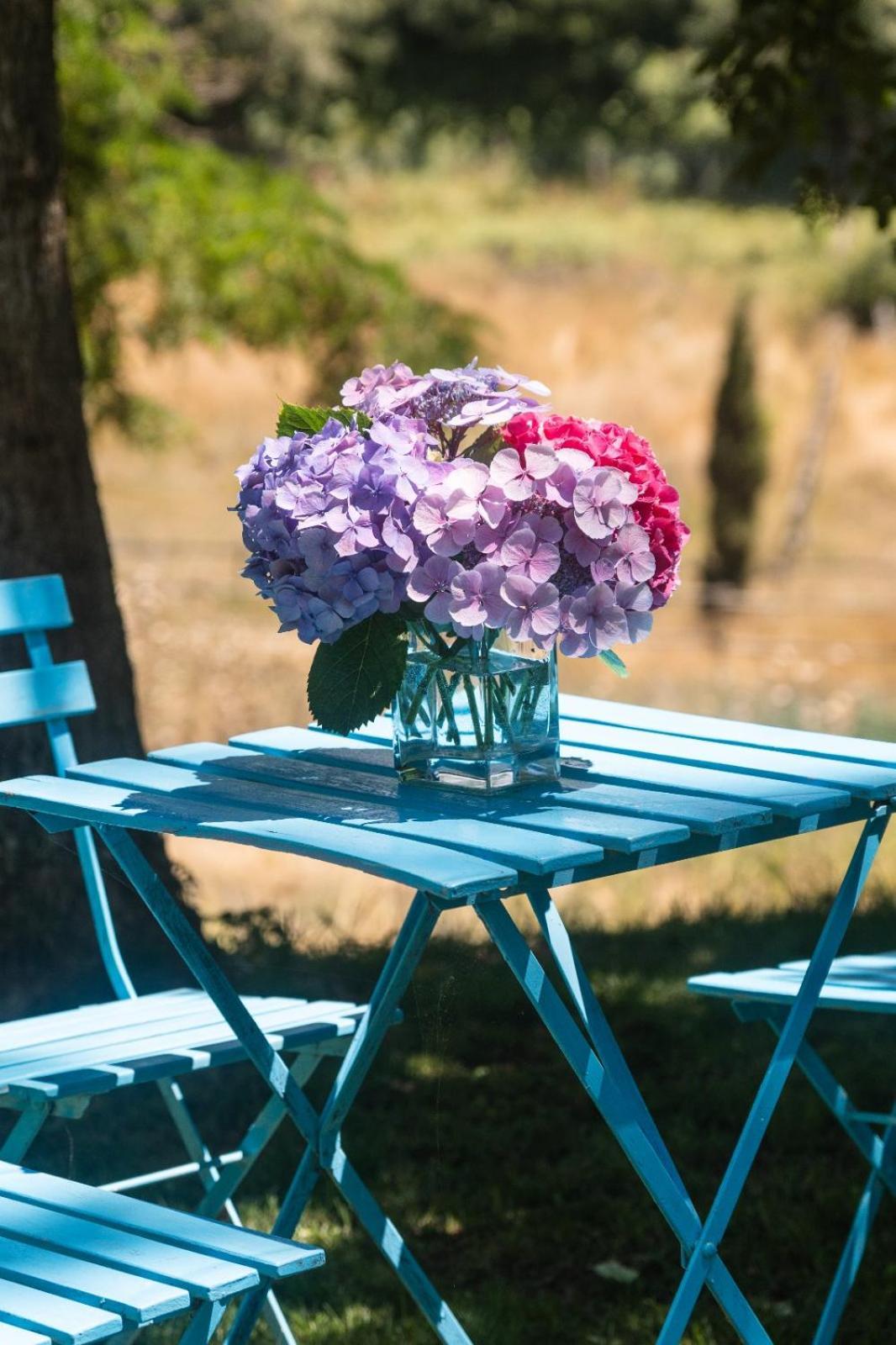Collina Blu Bed & Breakfast Bolsena Bagian luar foto