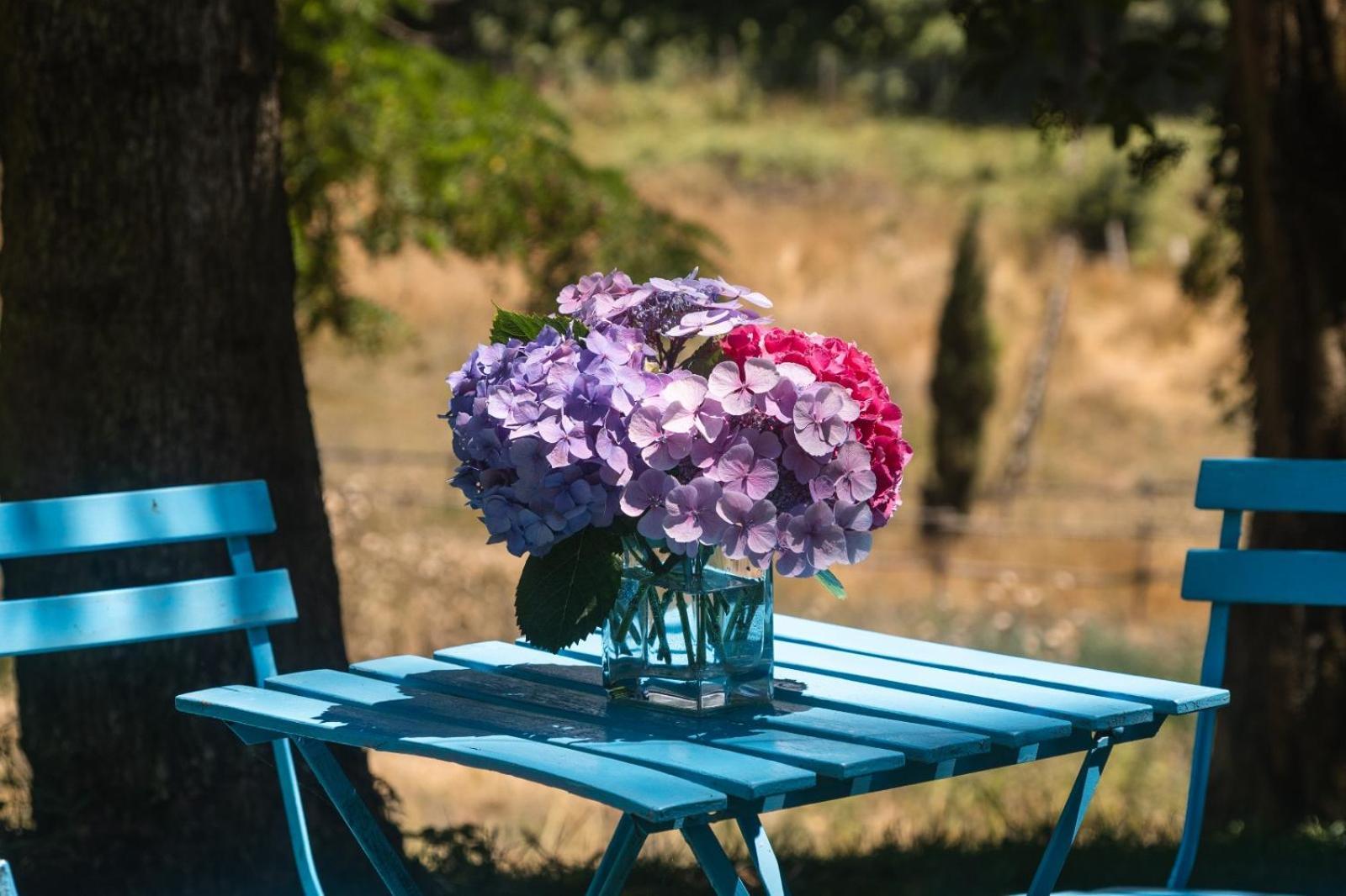 Collina Blu Bed & Breakfast Bolsena Bagian luar foto
